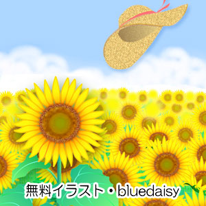 CXg bluedaisy